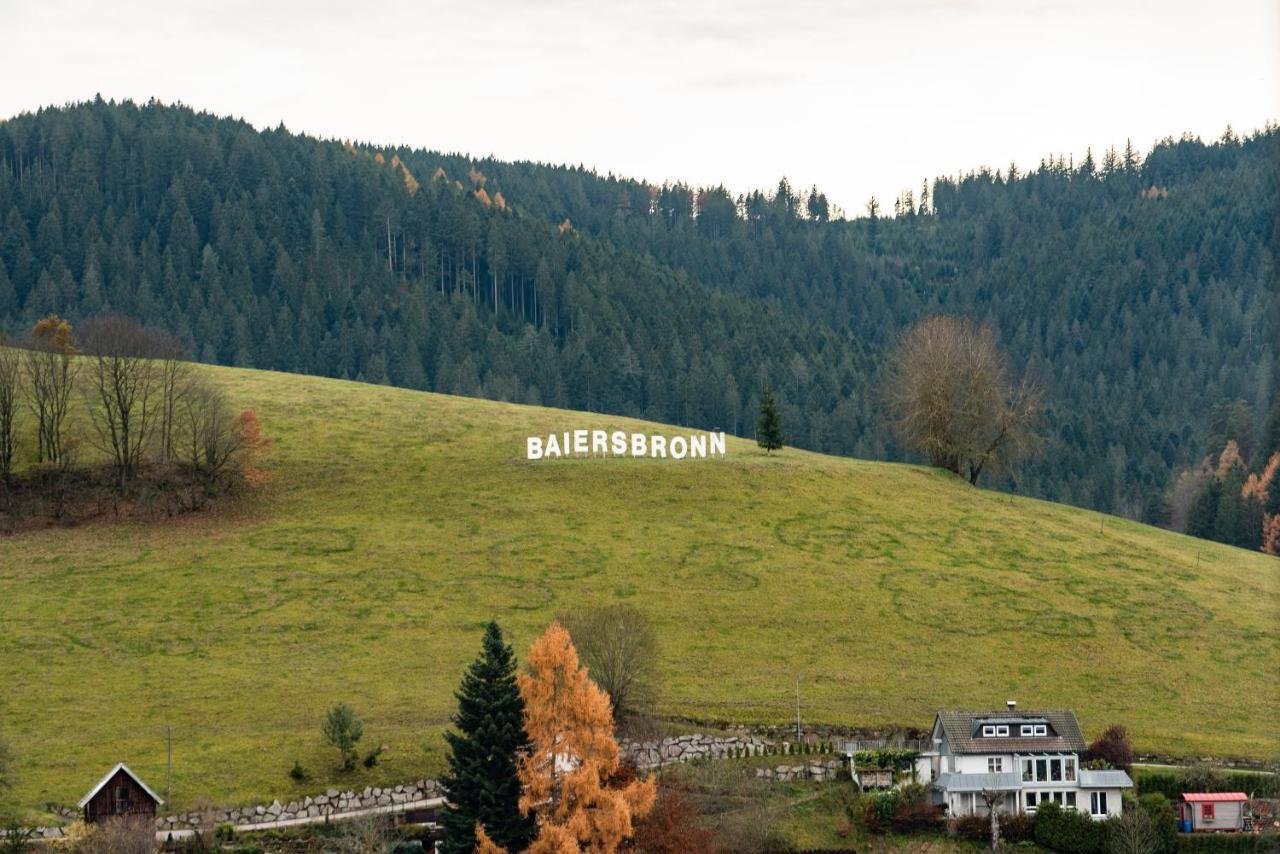 Haus Irene Gemuetlich Moderner Schwarzwald Lägenhet Baiersbronn Exteriör bild